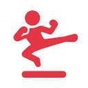 Platform Fighter